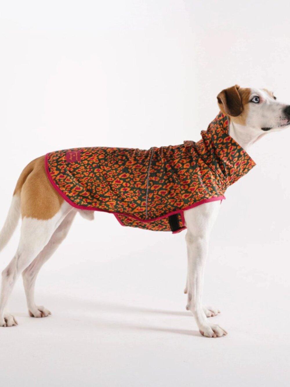 Farm Rio x Zee.Dog Selva Raincoat